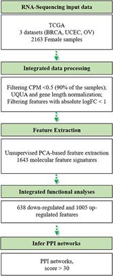 An Integrative Computational Approach Based on Expression Similarity Signatures to Identify Protein–Protein Interaction Networks in Female-Specific Cancers